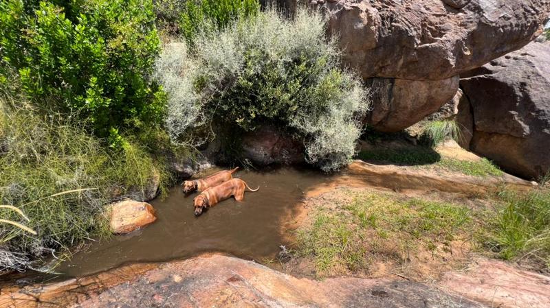 0 Bedroom Property for Sale in Piketberg Rural Western Cape